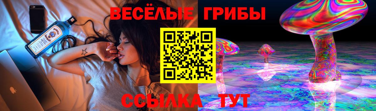Красногорск  Псилоцибиновые грибы Cubensis  что такое наркотик  Вход с VPN 